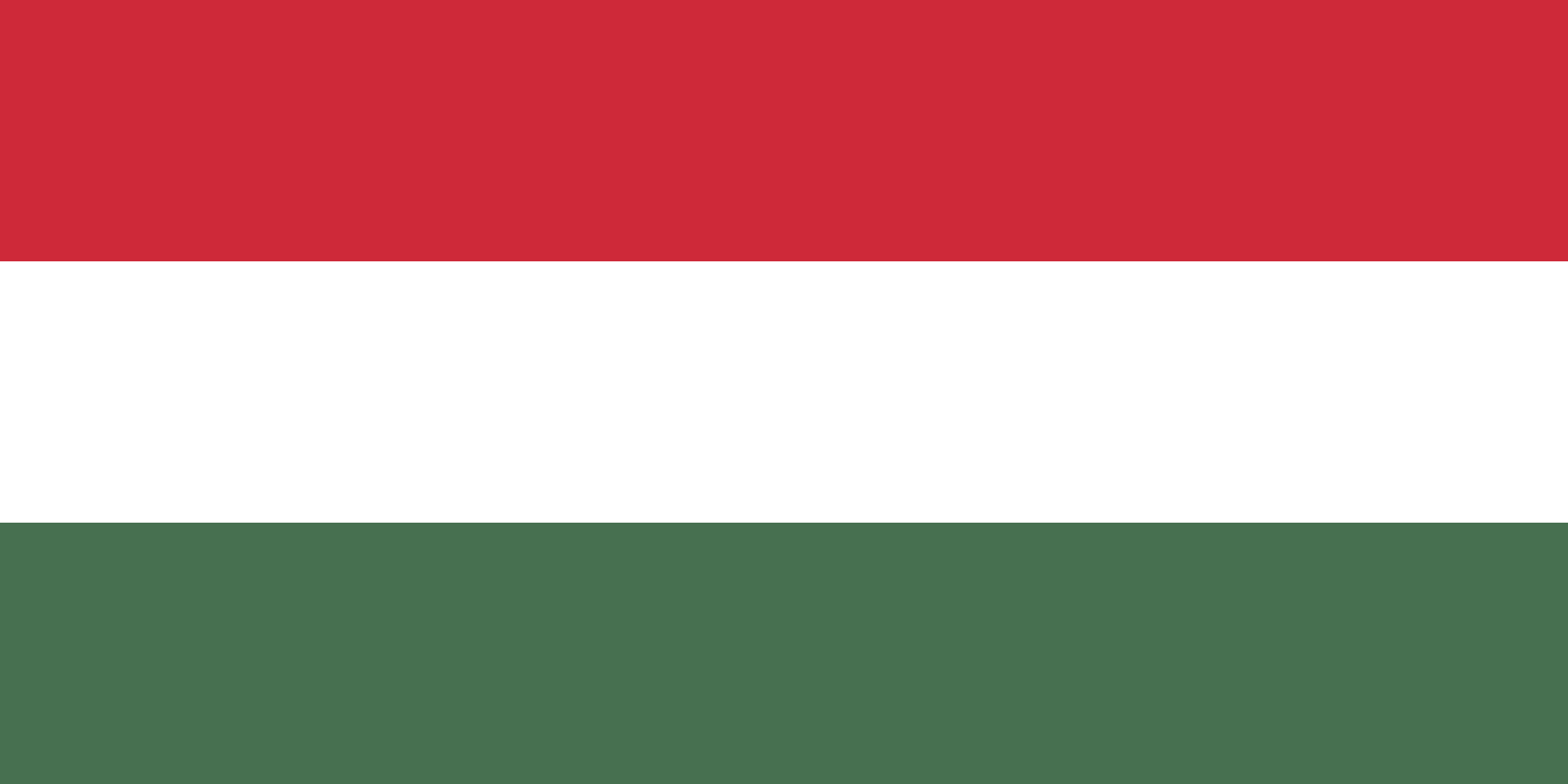 Hungary and DSVV Globle Partnerships