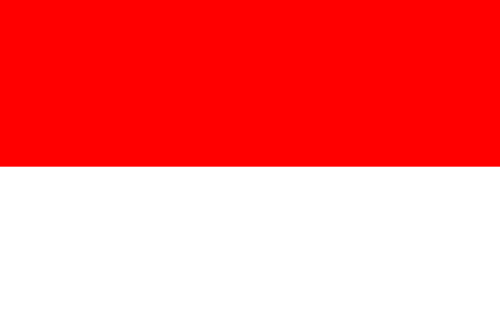 Indonesia and DSVV Globle Partnerships