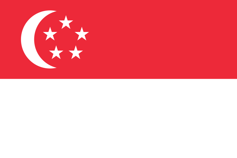 Singapore and DSVV Globle Partnerships